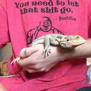 Meet your Posher, Samual